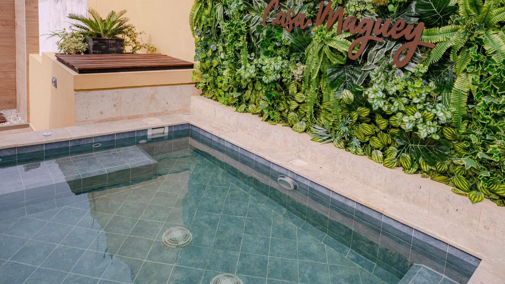 Casa Maguey Rooftop Jacuzzi Bay Views & Culture Get Сasa de vacaciones Cartagena