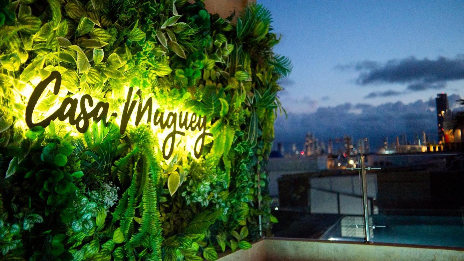 Casa Maguey Rooftop Jacuzzi Bay Views & Culture Get Сasa de vacaciones *