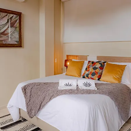 Casa Maguey Rooftop Jacuzzi Bay Views & Culture Get Сasa de vacaciones *