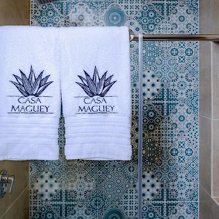 Casa Maguey Rooftop Jacuzzi Bay Views & Culture Get Сasa de vacaciones *