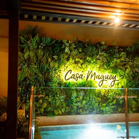 Casa Maguey Rooftop Jacuzzi Bay Views & Culture Get Сasa de vacaciones *